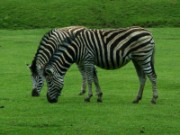 2013_06_23_015_ohm_thoiry