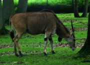 2013_06_23_021_ohm_thoiry