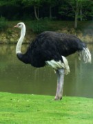 2013_06_23_026_ohm_thoiry