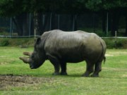 2013_06_23_027_ohm_thoiry