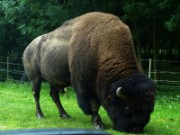 2013_06_23_035_ohm_thoiry