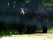 2013_06_23_038_ohm_thoiry