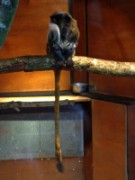 2013_06_23_042_ohm_thoiry