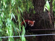 2013_06_23_043_ohm_thoiry