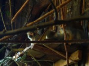 2013_06_23_044_ohm_thoiry