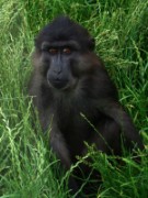 2013_06_23_048_ohm_thoiry