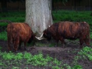 2013_06_23_050_ohm_thoiry