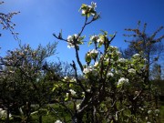 2013_04_20_au_23_randonnee_marais_poitevin