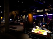 2013_05_30_mnhn_expo_dinosaure