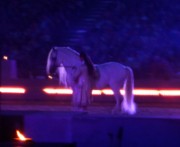 2013_07_04_007_carrousel_royal