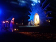 2013_07_04_019_carrousel_royal