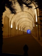 2014_07_26_059_versailles_l_orangerie