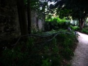 2014_08_22_003_fondation_cartier