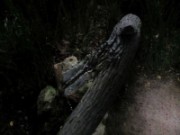 2014_08_22_004_fondation_cartier