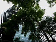 2014_08_22_008_fondation_cartier