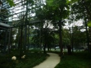 2014_08_22_009_fondation_cartier