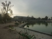 2014_11_21_003_tuileries