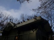 2014_12_14_025_rando_paris_jardins_du_luxembourg