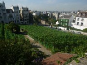 2015_09_11_008_musee_montmartre