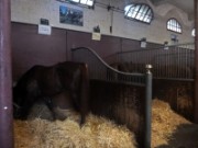 2015_09_12_016_garde_republicaine