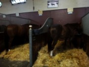 2015_09_12_017_garde_republicaine