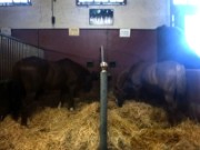 2015_09_12_019_garde_republicaine