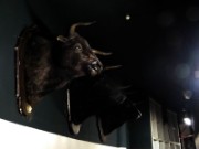 2015_10_05_035_opera_bastille