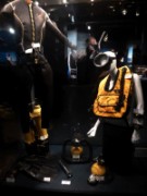 2016_11_02_007_aquarium_tropical