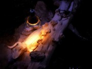 2016_11_02_012_aquarium_tropical