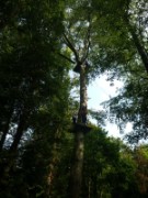 2017_08_27_012_rando_cergy