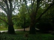 2017_09_30_014_buttes_chaumont