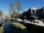 2018_04_19_parc_zoologique_de_paris_OK