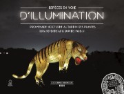 2018_12_23_mnhn_especes_en_voie_d_illumination