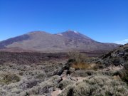 2019_02_22_au_03_08_canaries_OK