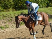 2019_09_27_acl_maisons_lafitte_OK