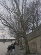 2020_12_30_006_rando_paris