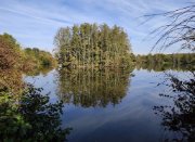 2021_10_10_acl_rando_bussy_st_georges_OK