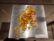 2022_03_08_004_expo_miniartextil