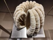 2022_03_08_005_expo_miniartextil