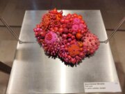 2022_03_08_007_expo_miniartextil