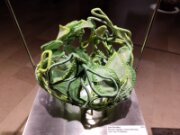 2022_03_08_012_expo_miniartextil