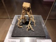 2022_03_08_017_expo_miniartextil