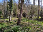 2022_03_27_004_rando_valmondois