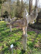 2022_03_27_005_rando_valmondois