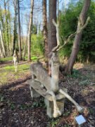 2022_03_27_007_rando_valmondois