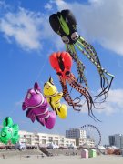 2022_04_29_au_05_02_berck_cerfs_volants