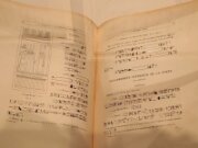 2022_07_24_018_expo_champollion_le_temple_de_dendera_iii_emile_chasinat_1934