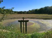 2022_09_17_au_21_we_rando_sologne_OK