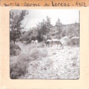 1962_08_grandes_diapos_028_sur_le_causse_du_larzac