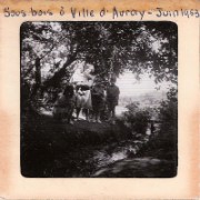 1963_06_grandes_diapos_045_sous_bois_ville_d_avray